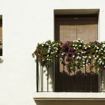 kwiaty na balkon zwisające
