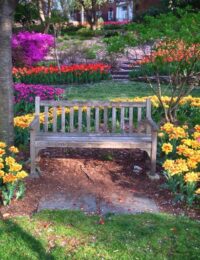 Ławki ogrodowe – wyposaż ogród w funkcjonalne meble