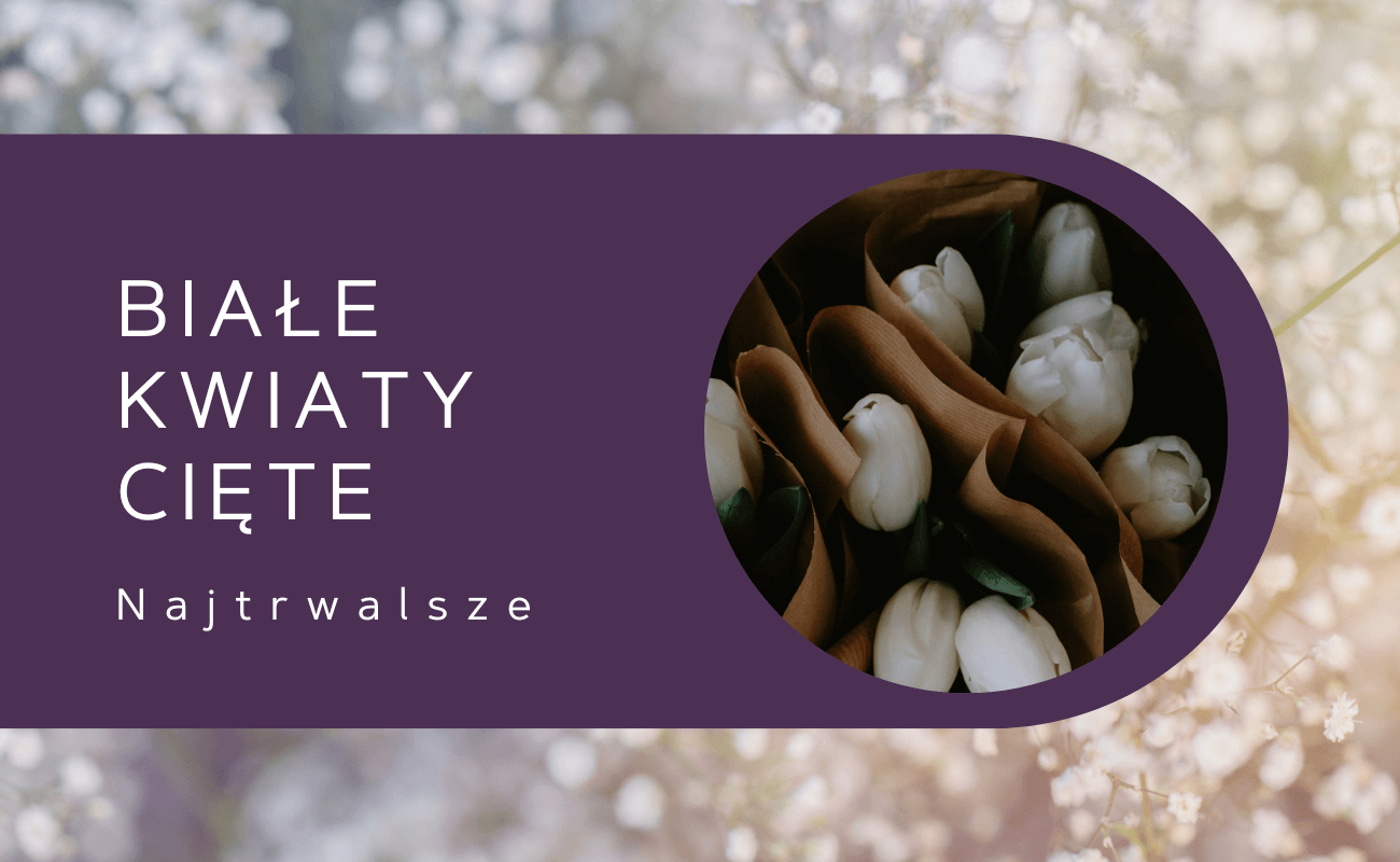 białe kwiaty cięte