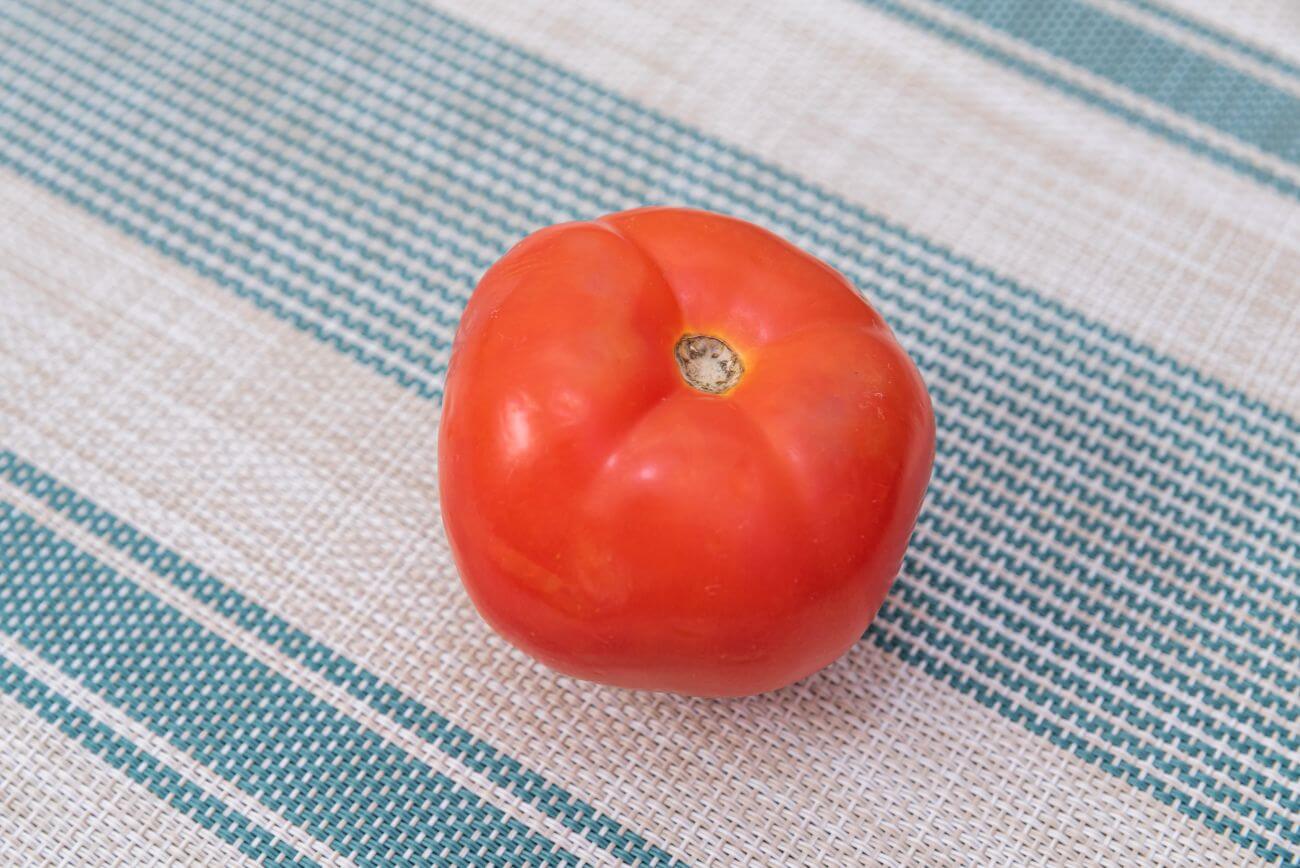Kiedy wysiewać pomidory na rozsadę