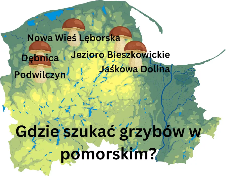 wybrane miejsca do zbierania grzybów w województwie pomorskim