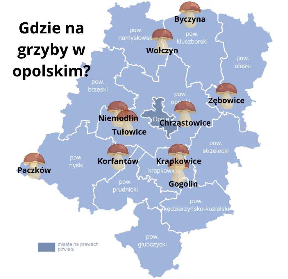 Przybliżona mapa występowania grzybów w województwie opolskim