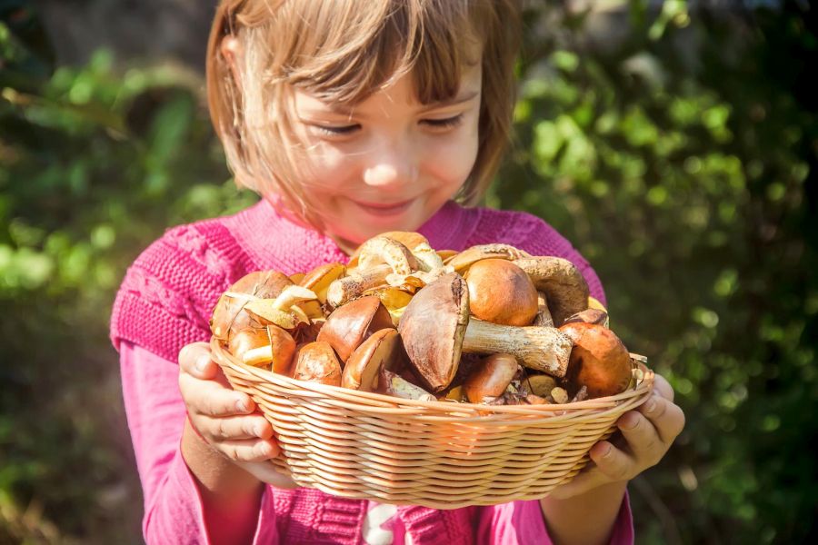 dziewczynka trzyma koszyk pełen grzybów