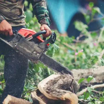 Najlepsze metody wycinania drzew na własnej posesji