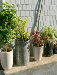 Jak donice okrągłe i wysokie mogą zmienić proporcje przestrzeni zewnętrznej