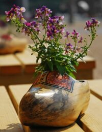 Klapki ogrodowe czy chodaki do ogrodu