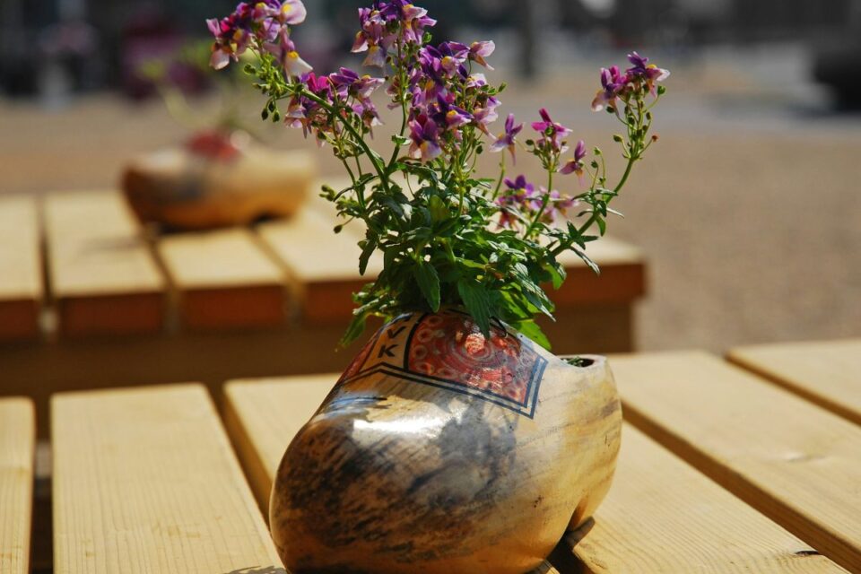 Klapki ogrodowe czy chodaki do ogrodu