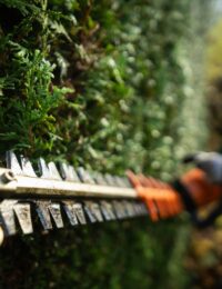 Łuparki do drewna i nożyce do żywopłotu